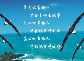 如何自学英语：十条实用高效的方法